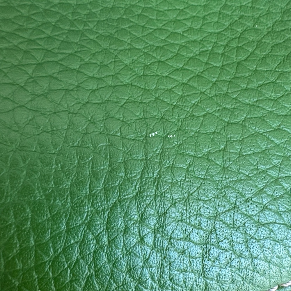 Dooney & Bourke Vibrant Green Mary Bag - Picture 5 of 10